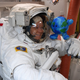 Imagen para el artículo titulado El peluche que Elon Musk envió al espacio se agotó en tiendas y sus creadores no entendían lo que estaba pasando
